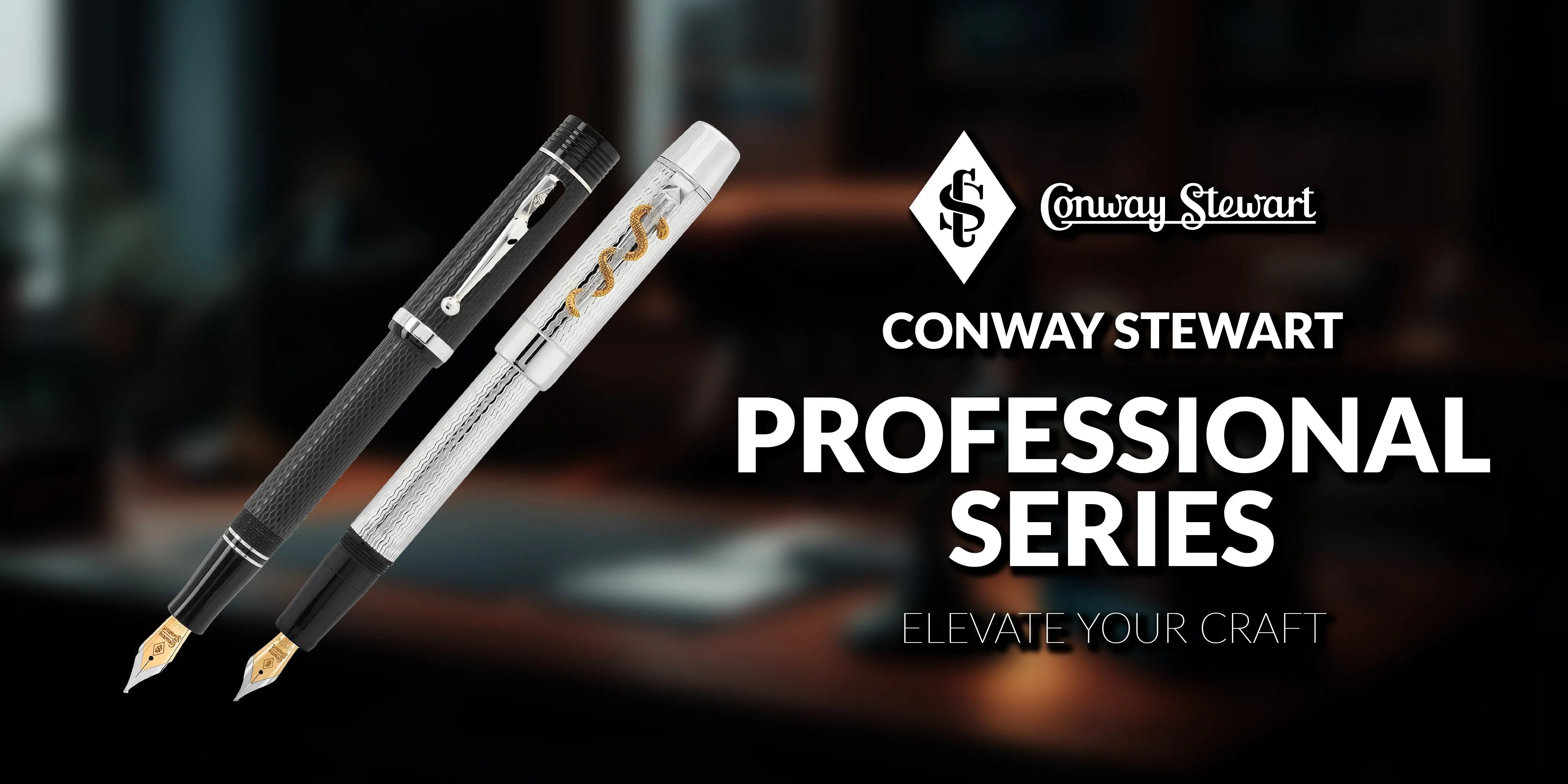 Banner for the Professional Series, black and silver textured fountain pens against a blurred office desk