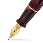 Nib close-up on the burgundy marbled pen, gold band and Conway Stewart-stamped nib
