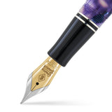 Close-up of the Churchill Wisteria nib, a gold nib engraved with the Conway Stewart crest